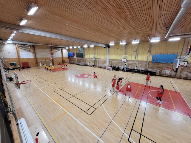Profile of the basketball court Fribergahallen, Danderyd, Sweden