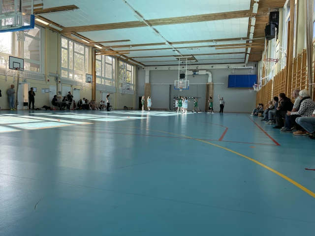 Profile of the basketball court Hagsätrahallen, Bandhagen, Sweden