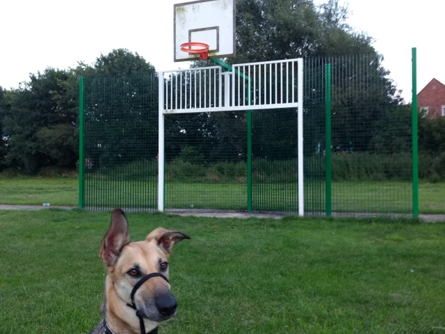 Profile of the basketball court Scott Road Park Hoop, Selby, United Kingdom