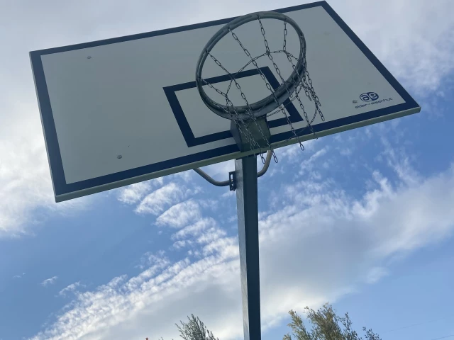 Profile of the basketball court Petite Prairie, Nyon, Switzerland