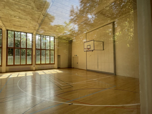Profile of the basketball court Ecole de Trembley CM, Genève, Switzerland