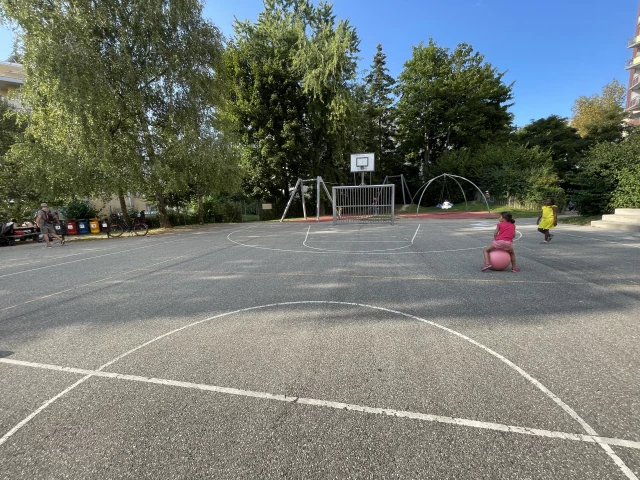 Profile of the basketball court School D'avanchet-Jura, Cointrin, Switzerland