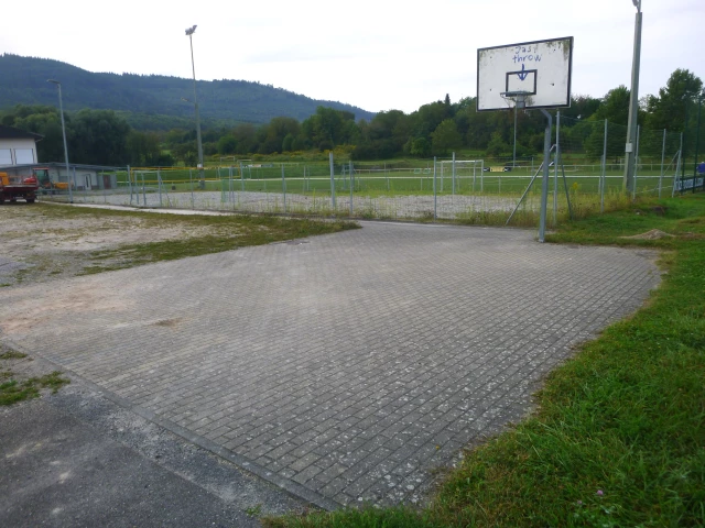 Profile of the basketball court Mueller Thurgau Square Garden, Oberschopfheim, Germany