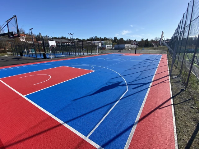 Profile of the basketball court Danderyds Gymnasiums IP, Danderyd, Sweden