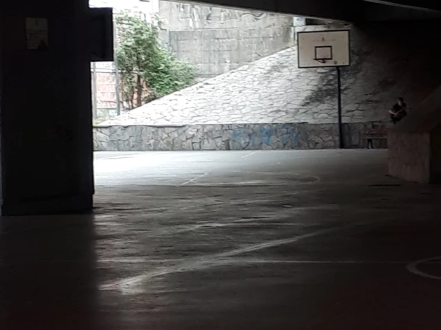 Profile of the basketball court Bajo la puente, Bilbao, Spain