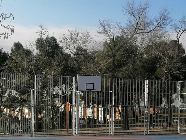 Profile of the basketball court Parque de Caramuel, Madrid, Spain
