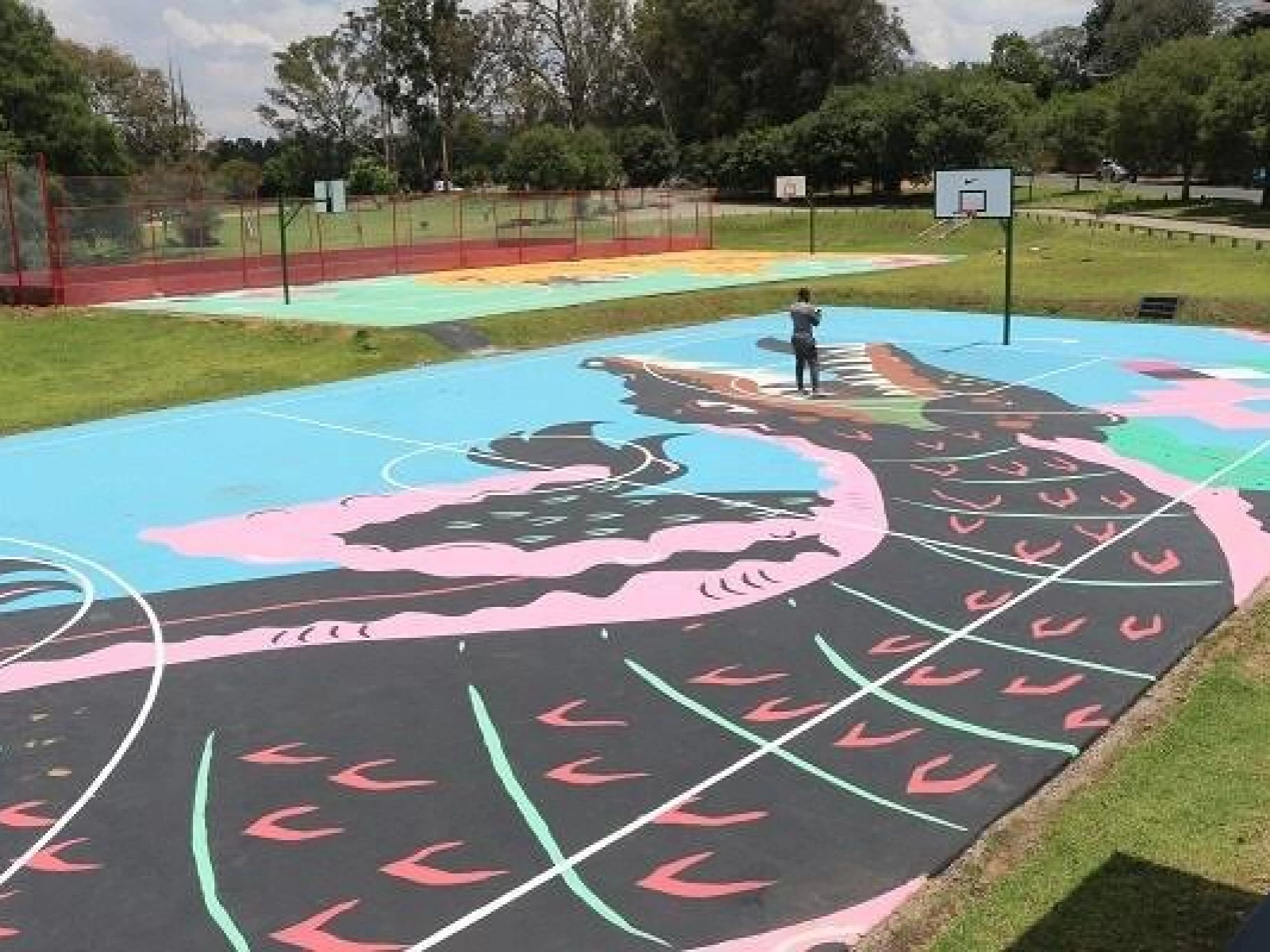 Johannesburg Basketball Court Zoo Lake Basketball Court Courts of