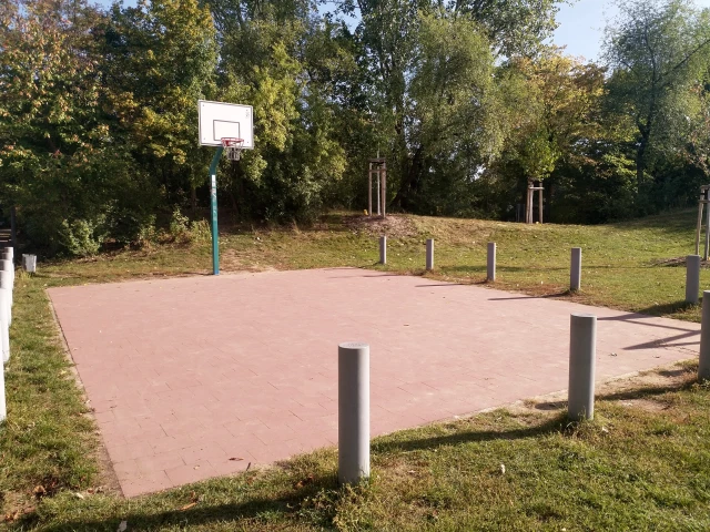 Profile of the basketball court Georg-Hirschmann-Anlage, Erlangen, Germany