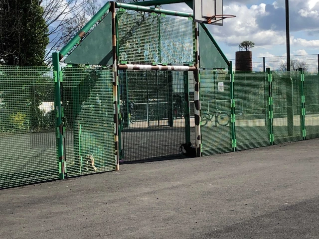Profile of the basketball court Clitheroe Castle, Clitheroe, United Kingdom