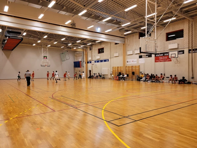Profile of the basketball court Steningehöjdens Sporthall, Steningehöjden, Sweden