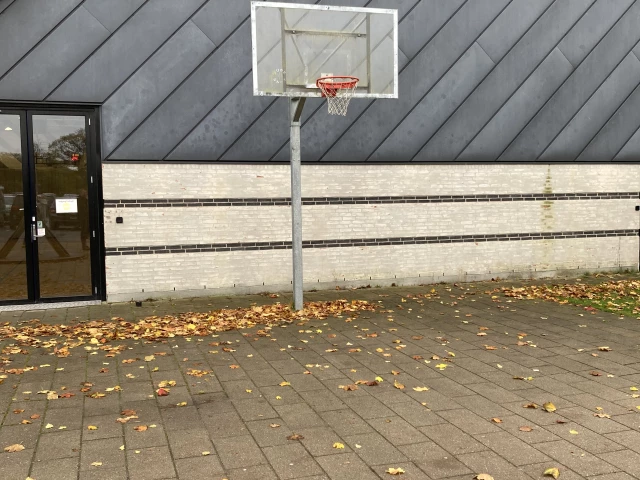 Profile of the basketball court Gladsaxe hallen, Søborg, Denmark