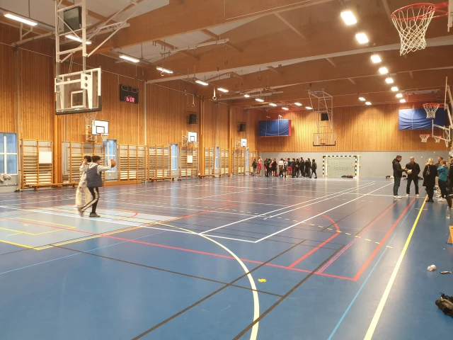 Profile of the basketball court Fyrisskolan Sporthall, Uppsala, Sweden