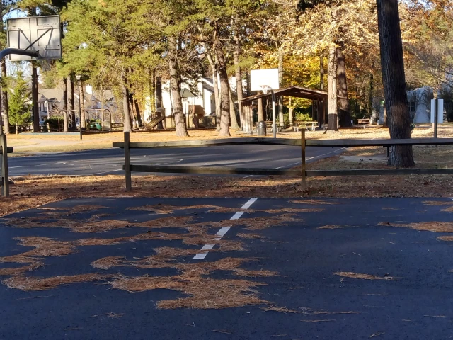 Profile of the basketball court Ironbound Park, Williamsburg, VA, United States