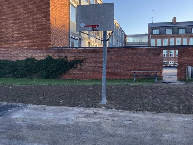Profile of the basketball court Tårnby Skole, Kastrup, Denmark
