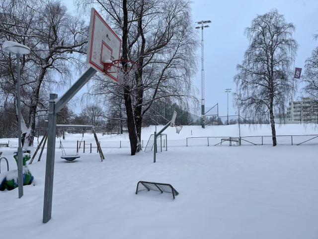 Profile of the basketball court Internationella Engelska Skolan, Sundsvall, Sundsvall, Sweden