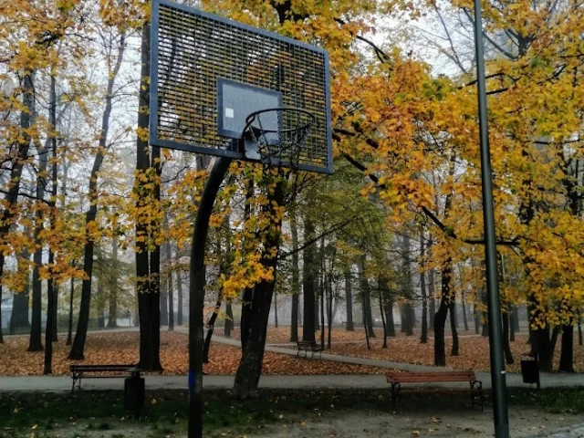 Profile of the basketball court Bojo w parku, Świdnica, Poland