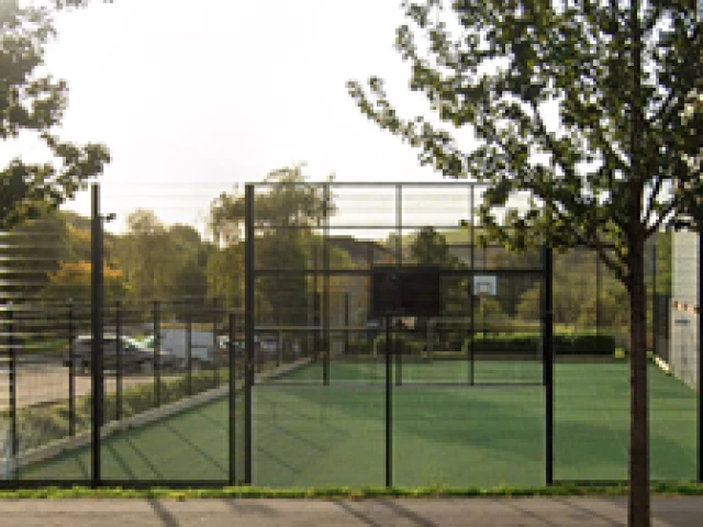 Profile of the basketball court Ballynahinch Community Centre, Ballynahinch, United Kingdom