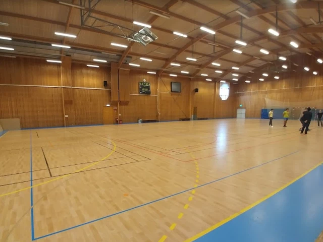 Profile of the basketball court Råstaparkshallen, Solna, Sweden