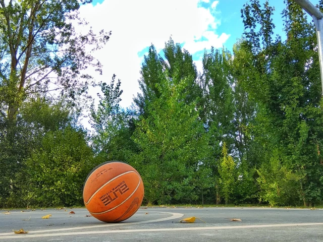 Profile of the basketball court Cancha Baloncesto de Arkaia, Arkaia, Spain
