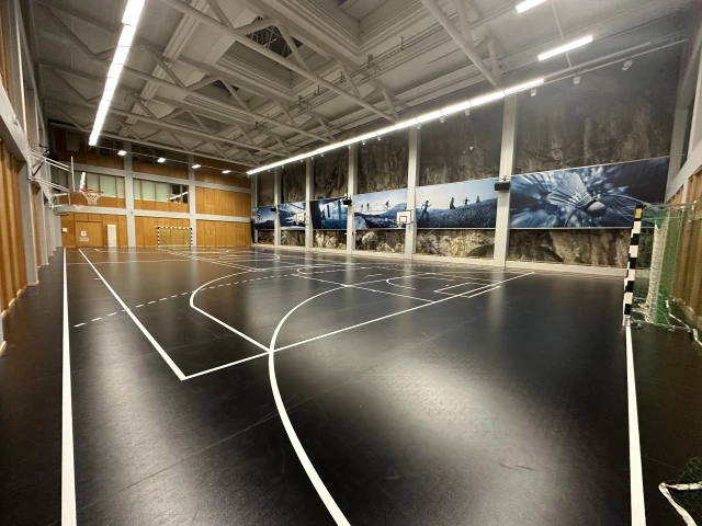 Profile of the basketball court SATS Nacka Strand, Nacka Strand, Sweden