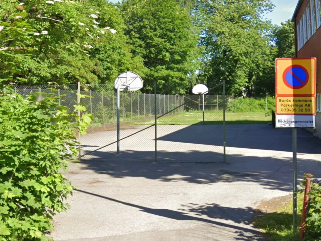 Profile of the basketball court Bäckängsgymnasiet, Borås, Sweden