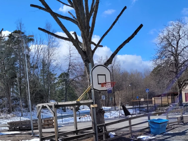 Profile of the basketball court Rindö Skola, Vaxholm, Sweden