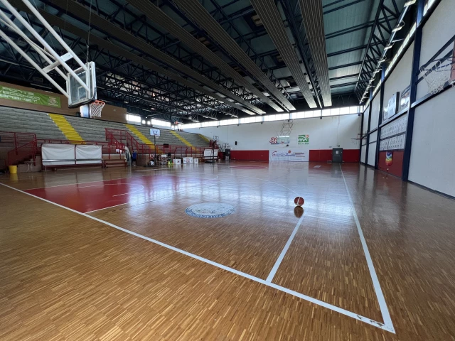 Profile of the basketball court Basket Academy - Ponte Vecchio - Valdiceppo, Perugia, Italy