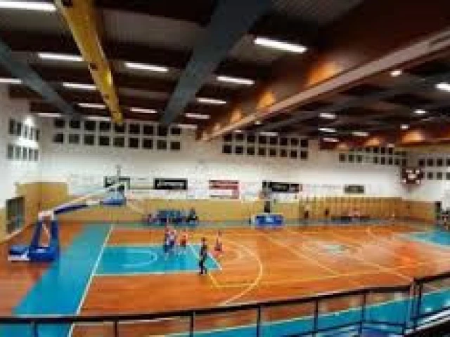 Profile of the basketball court Spresiano Basket court, Spresiano, Italy