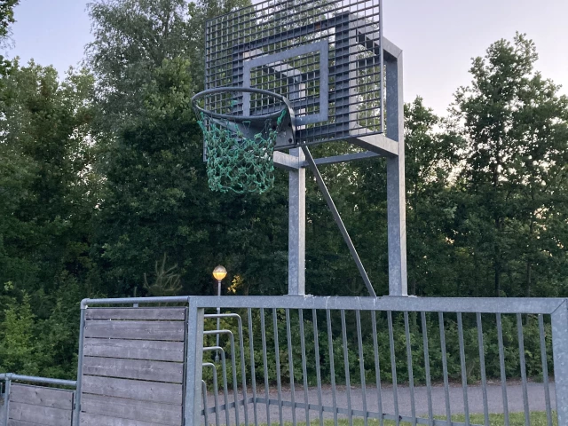 Profile of the basketball court Lalandia multicourt, Rødby, Denmark