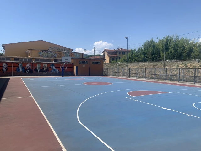 Profile of the basketball court Montecatini Terme, Montecatini Terme, Italy