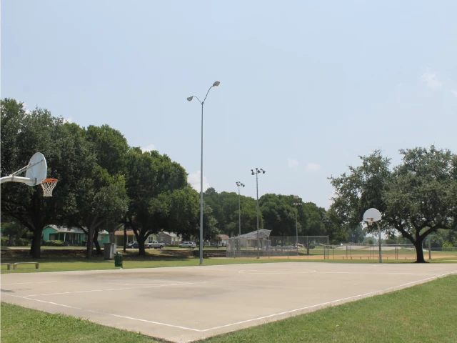 Profile of the basketball court Hamilton Park, Dallas, TX, United States