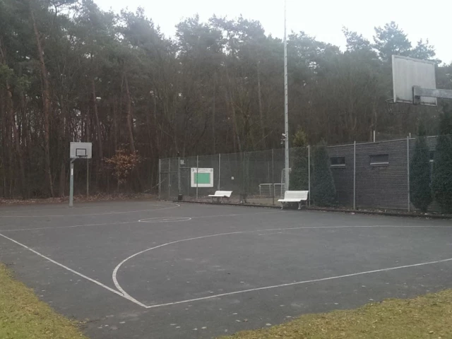 Profile of the basketball court Dünnwalder Turnverein, Köln, Germany