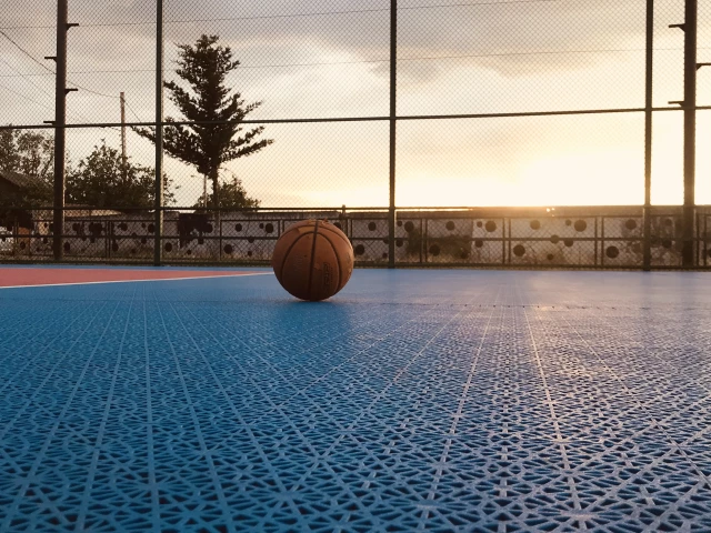 Profile of the basketball court Ponichala Court, T'bilisi, Georgia