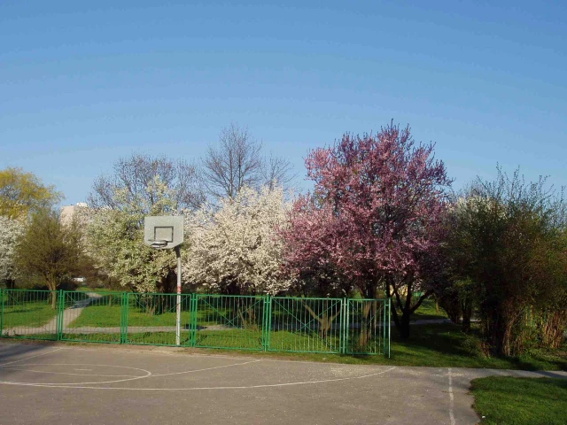 A basketball court in Kielce, Poland.