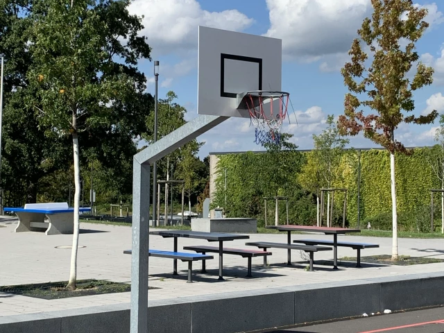 Profile of the basketball court Rhein-Sieg-Gymnasium, Sankt Augustin, Germany