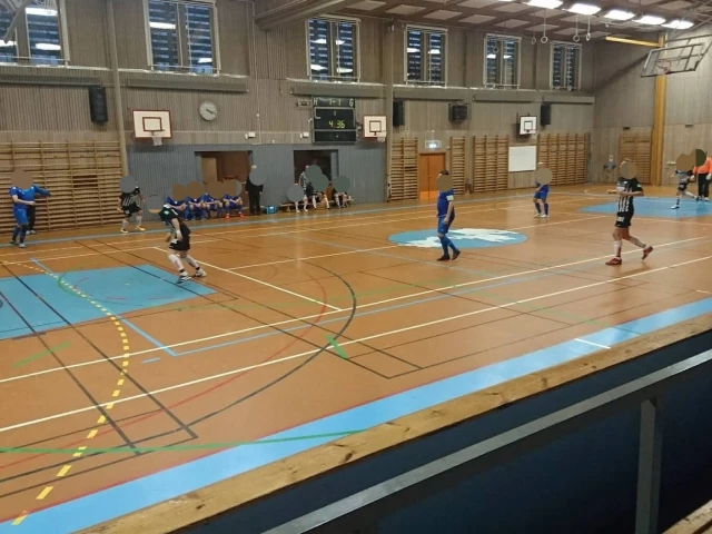 Profile of the basketball court Ektorpshallen Norrköping, Norrköping, Sweden
