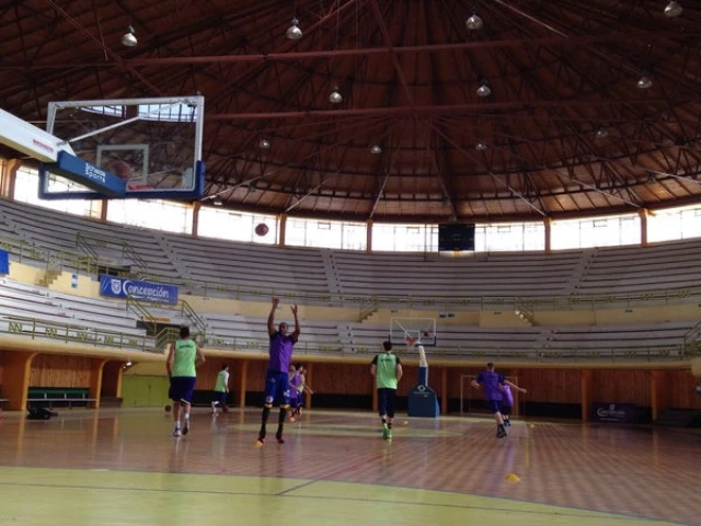 Profile of the basketball court Gimnasio municipal, Concepción, Chile