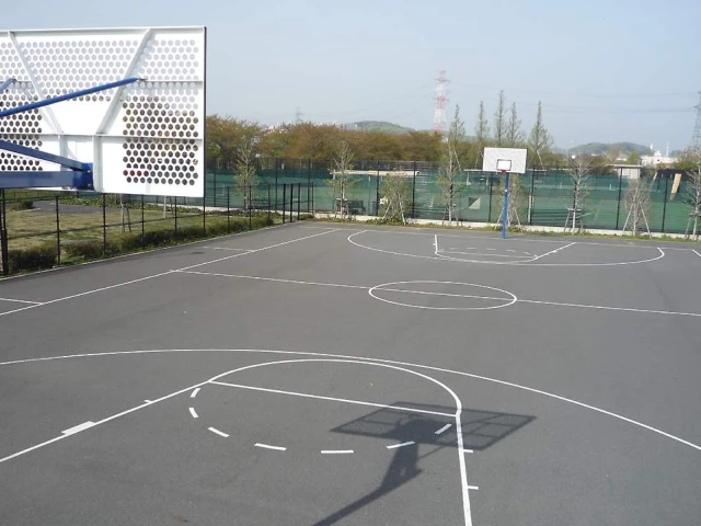 Profile of the basketball court Johoku Ryokutikouen, Inagi City, Japan