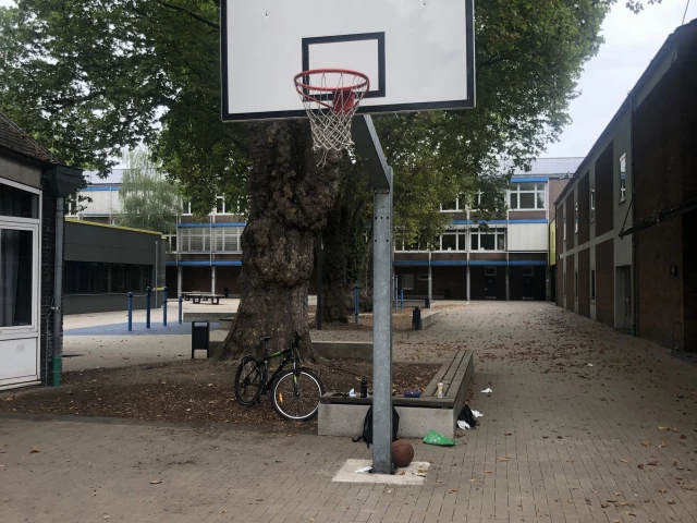Profile of the basketball court Prismaschule, Langenfeld (Rheinland), Germany