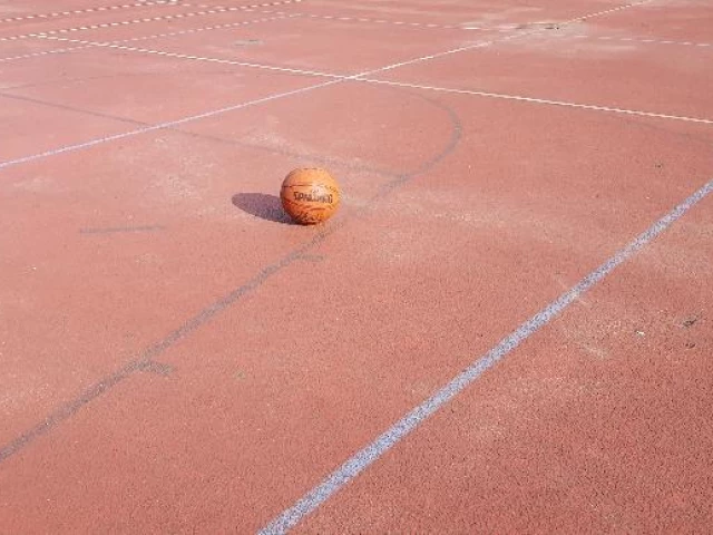 Profile of the basketball court Basketballplatz an der Waldorfschule, Hannover, Germany