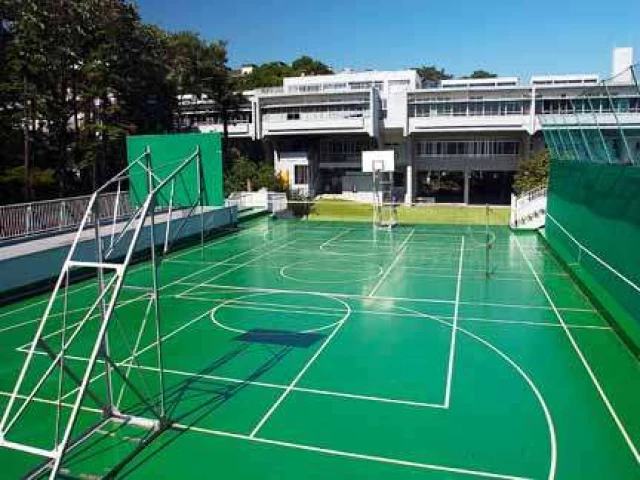 Profile of the basketball court International School of the Sacred Heart, Tokyo, Japan