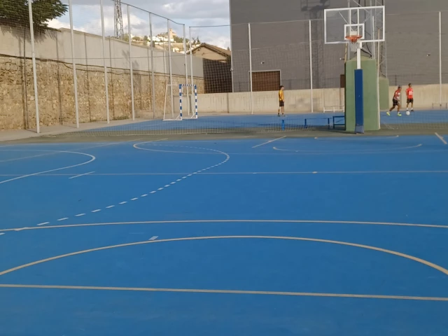 Profile of the basketball court Universidad de Granada, Centro Actividades Deportivas, Granada, Spain