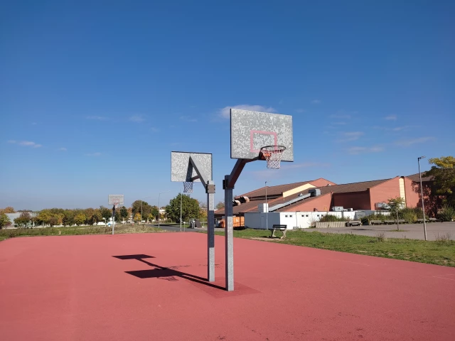 Profile of the basketball court UniSprachenzentrum, Wurzburg, Germany