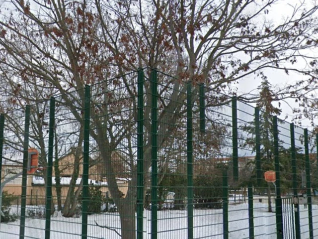 Profile of the basketball court Terrain de Basket Colmar, Colmar, France