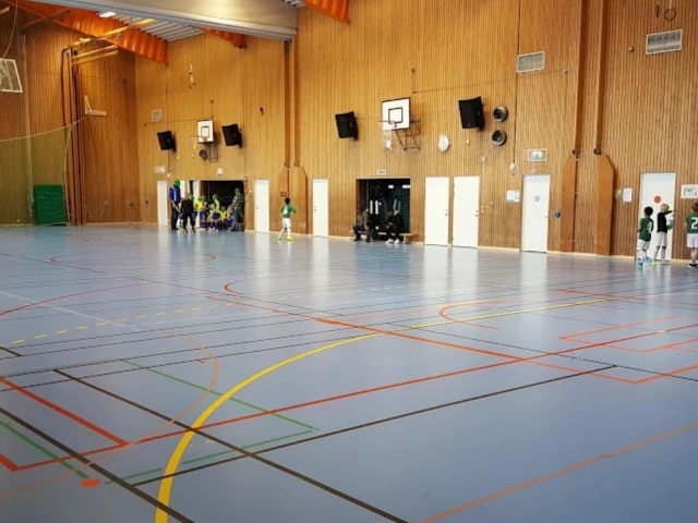 Profile of the basketball court Jakobsgårdens Sporthall, Borlänge, Sweden
