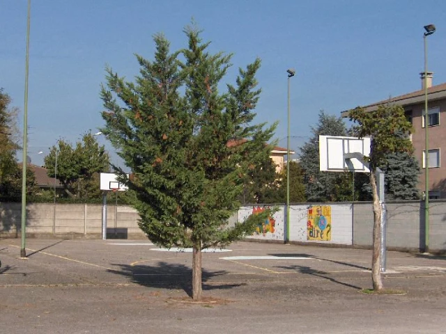 A basketball court in the Milano neighborhood of Lonate Pozzolo.