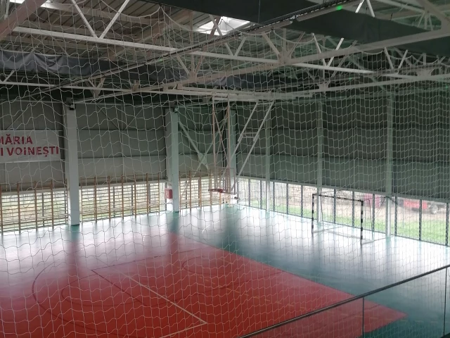 Profile of the basketball court Sala Sporturilor Voinesti, Voinești, Romania