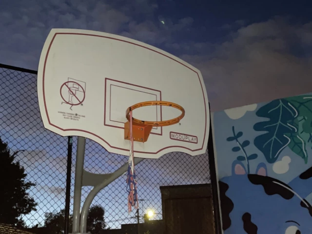 Profile of the basketball court Nestor Park Hoop, Annandale, Australia