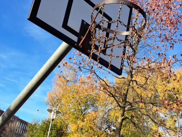 Profile of the basketball court LAGA Basketballkorb, Gronau (Westfalen), Germany