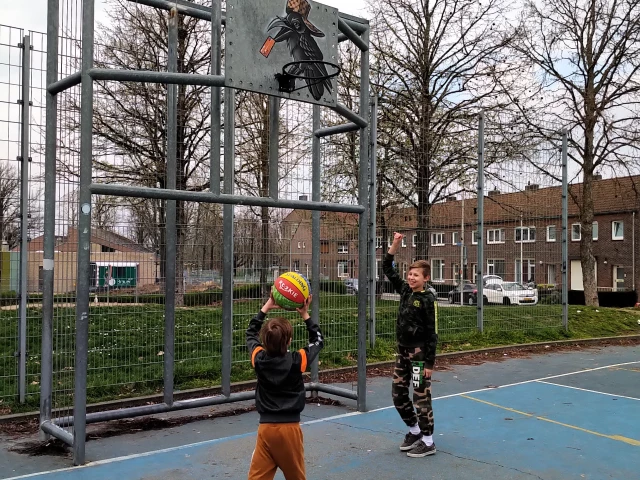Profile of the basketball court The Black Court, Heerlen, Netherlands